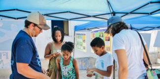 Hundreds enjoy local wildlife at Animal Festival