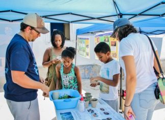 Hundreds enjoy local wildlife at Animal Festival