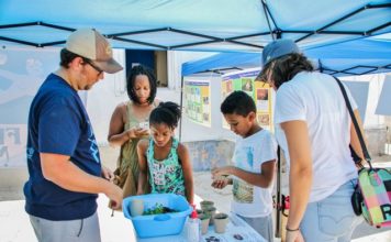 Hundreds enjoy local wildlife at Animal Festival