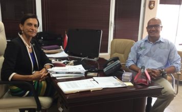 Wescot-Williams: Plastic bags ban a small but important step