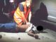 BREAKING NEWS: Two people dead after a motorbike accident in Orient Bay