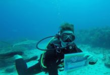 Nature Foundation Hosts First Dutch Kingdom Shark Count