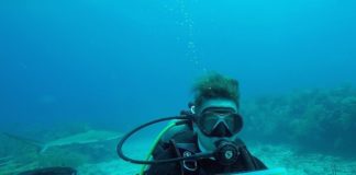 Nature Foundation Hosts First Dutch Kingdom Shark Count