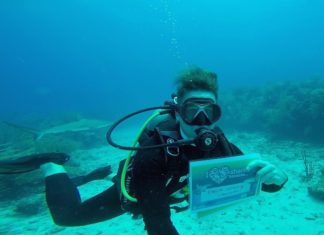Nature Foundation Hosts First Dutch Kingdom Shark Count