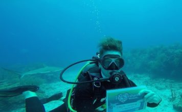 Nature Foundation Hosts First Dutch Kingdom Shark Count