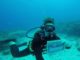 Nature Foundation Hosts First Dutch Kingdom Shark Count