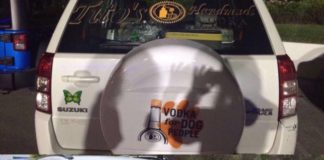 Police: Drastic spike in vehicular theft
