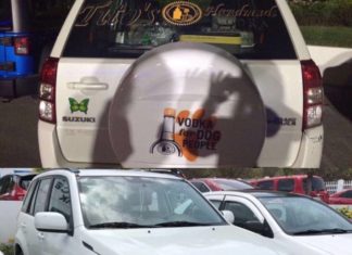 Police: Drastic spike in vehicular theft