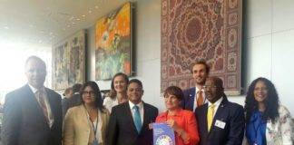 Kingdom of the Netherlands Voluntary National Review report online