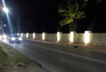 APS Moving Ahead with Mary’s Fancy Estate Development As heritage, ecological site