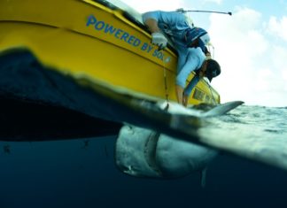 Dutch Television Crew on island to film Nature Foundation Activities