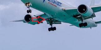 Ball thrower investigation