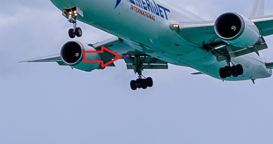 Ball thrower investigation