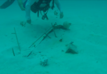Majority of Nature Foundation Marine Research Projects completely destroyed by Irma; Starts GoFundMe to Restart Coral Nursery Project