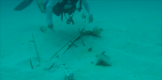 Majority of Nature Foundation Marine Research Projects completely destroyed by Irma; Starts GoFundMe to Restart Coral Nursery Project