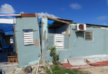 Marking on the structures are solely for assessment