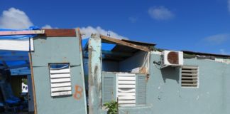 Marking on the structures are solely for assessment