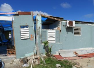 Marking on the structures are solely for assessment