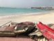 Kimsha Beach/Pelican Area Ready for swimmers