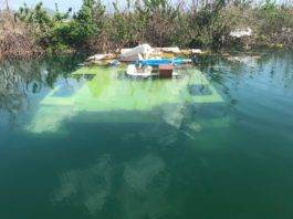 La Fundación Nature de Sint Maarten, cree tomará meses limpiar el área protegida de Mullet Pond