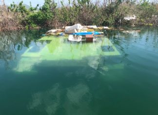 La Fundación Nature de Sint Maarten, cree tomará meses limpiar el área protegida de Mullet Pond