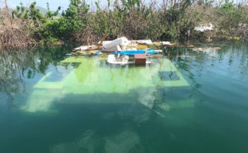 Sint Maarten Nature Foundation Estimates Months to Clean Mullet Pond Protected Area