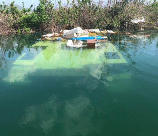 Sint Maarten Nature Foundation Estimates Months to Clean Mullet Pond Protected Area