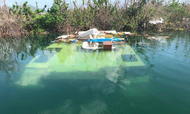 Sint Maarten Nature Foundation Estimates Months to Clean Mullet Pond Protected Area