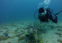 Nature Foundation Assesses Marine Park and Dive Sites