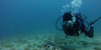 Nature Foundation Assesses Marine Park and Dive Sites