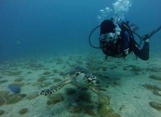 Nature Foundation Assesses Marine Park and Dive Sites