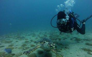 Nature Foundation Assesses Marine Park and Dive Sites
