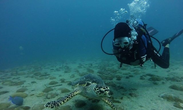 Nature Foundation Assesses Marine Park and Dive Sites
