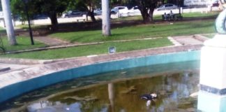 Independence Square still messy after Irma and Maria, return of ships and public criticism