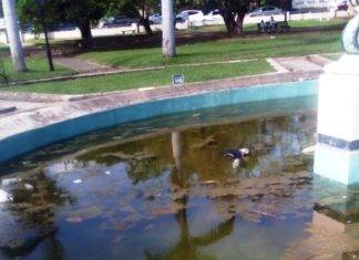 St. Kitts’ Independence Square a garbage dump and mosquito breeding ground