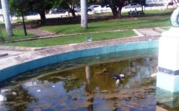 Independence Square still messy after Irma and Maria, return of ships and public criticism