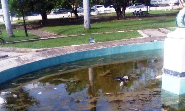 St. Kitts’ Independence Square a garbage dump and mosquito breeding ground