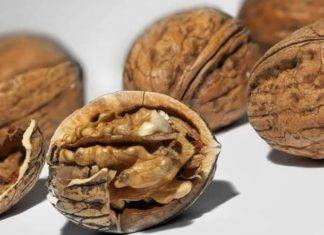 CPS salutes HCC on action plan launch to prevent childhood obesity