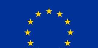 REGISTER BEFORE APRIL 11 AND VOTE IN THE EU ELECTIONS, MINISTER PLENIPOTENTIARY URGES