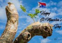 St. Martin’s Day Cultural Parade