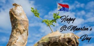 St. Martin’s Day Cultural Parade