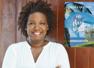 Nerissa Golden Releases In Plain Sight, a Romantic Suspense Novel