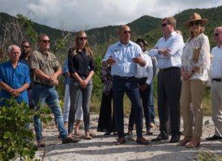 Sint Maarten Nature Foundation Gives Update to King and Queen of Netherlands on Environmental Impacts and Restoration Activities Post Hurricanes Irma and Maria