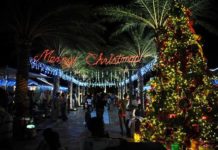 Christmas is coming to WPS on Sunday. You’re invited to the 7th Annual Lighting of the Tree