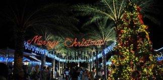 Christmas is coming to Walter Plantz Square on Friday. You’re invited to the Annual Lighting of the Tree