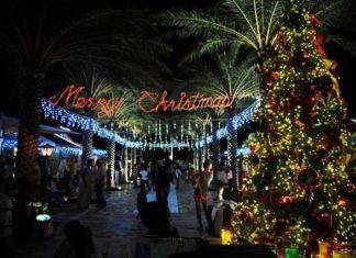 Christmas is coming to WPS on Sunday. You’re invited to the 7th Annual Lighting of the Tree