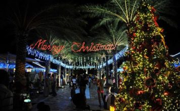 Christmas is coming to WPS on Sunday. You’re invited to the 7th Annual Lighting of the Tree