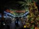 Christmas is coming to Walter Plantz Square on Friday. You’re invited to the Annual Lighting of the Tree
