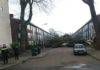 Three people are killed as winter storm batters the Netherlands
