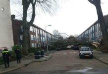 Three people are killed as winter storm batters the Netherlands